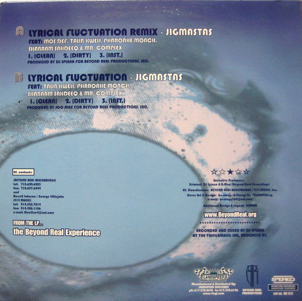 Jigmastas : Lyrical Fluctuation Remix (12")