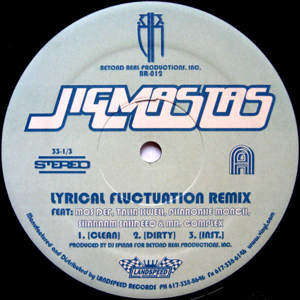 Jigmastas : Lyrical Fluctuation Remix (12")