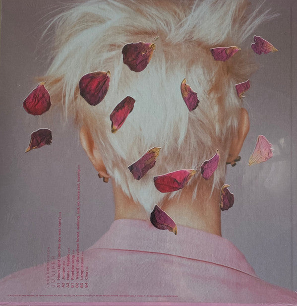 Linda Fredriksson ~ Juniper (Vinyl) - Djungel & Jazz