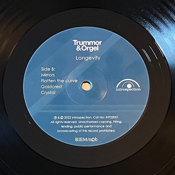 Trummor & Orgel ~ Longevity (Vinyl) - Djungel & Jazz