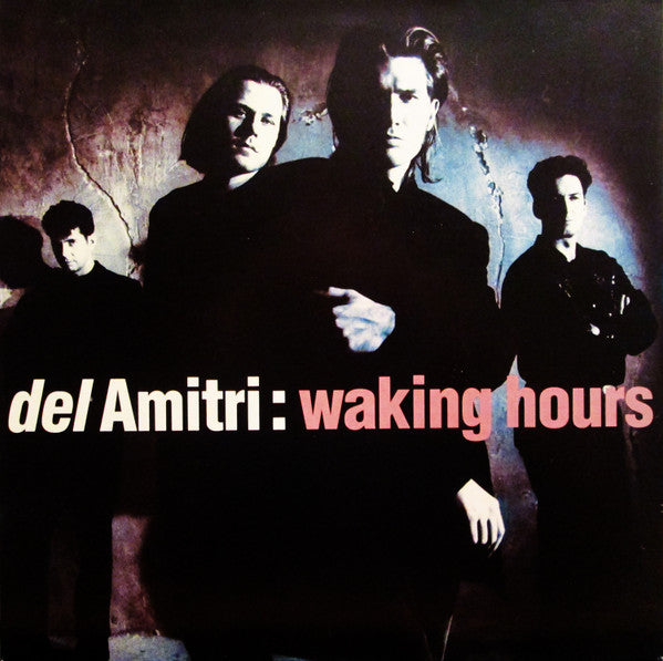 Del Amitri ~ Waking Hours (Vinyl) - Djungel & Jazz
