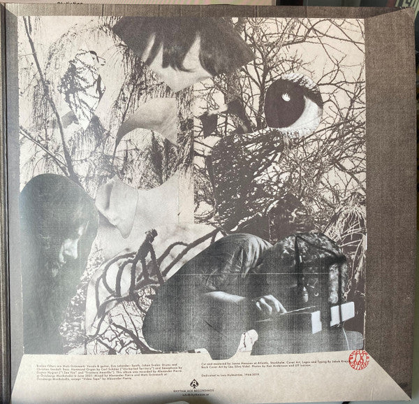 Broken Filters ~ Uncharted Territory (Vinyl) - Djungel & Jazz