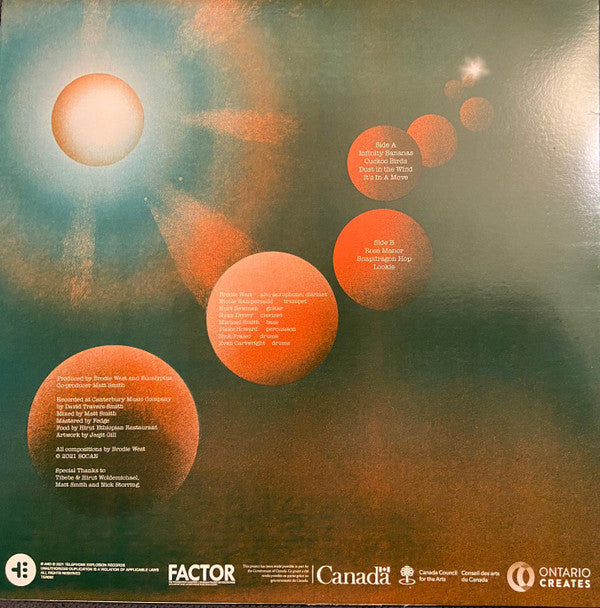 Eucalyptus ~ Moves (Vinyl) - Djungel & Jazz