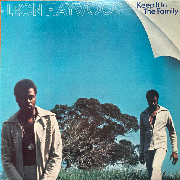 Leon Haywood ~ Keep It In The Family (Vinyl) - Djungel & Jazz