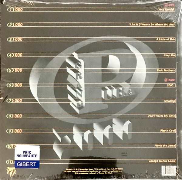 Grand Puba ~ 2000 (Vinyl) - Djungel & Jazz