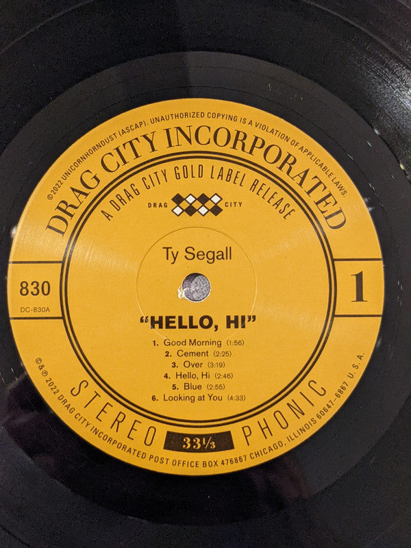 Ty Segall ~ "Hello, Hi" (Vinyl) - Djungel & Jazz