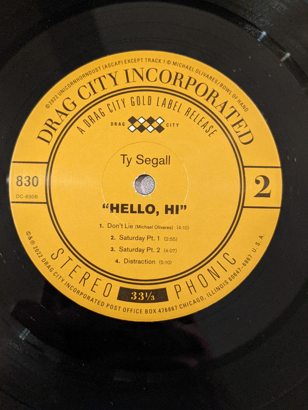 Ty Segall ~ "Hello, Hi" (Vinyl) - Djungel & Jazz