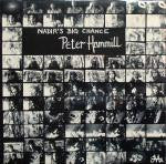 Peter Hammill ~ Nadir's Big Chance (Vinyl) - Djungel & Jazz