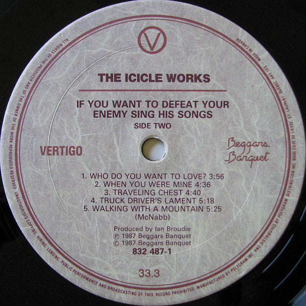 The Icicle Works ~ If You Want To Defeat Your Enemy Sing His Song (Vinyl) - Djungel & Jazz