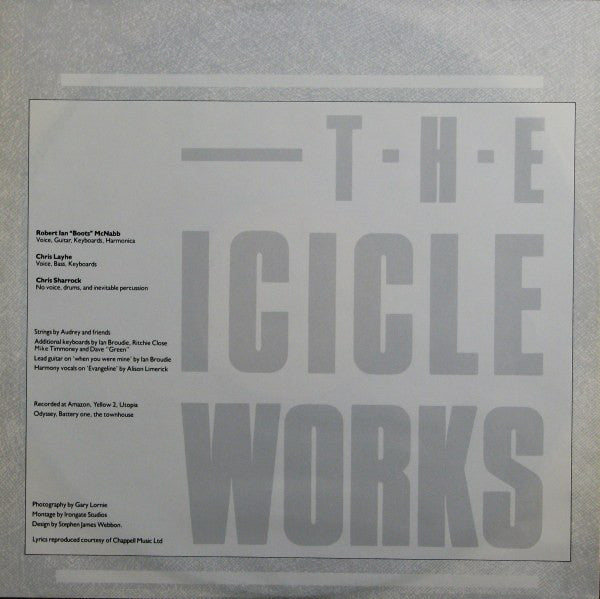 The Icicle Works ~ If You Want To Defeat Your Enemy Sing His Song (Vinyl) - Djungel & Jazz