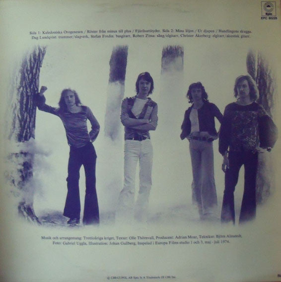 Trettioåriga Kriget : Trettioåriga Kriget (LP, Album)