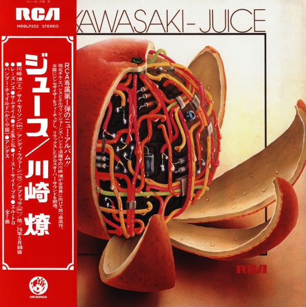Ryo Kawasaki = 川崎燎 ~ Juice = ジュース (Vinyl) - Djungel & Jazz