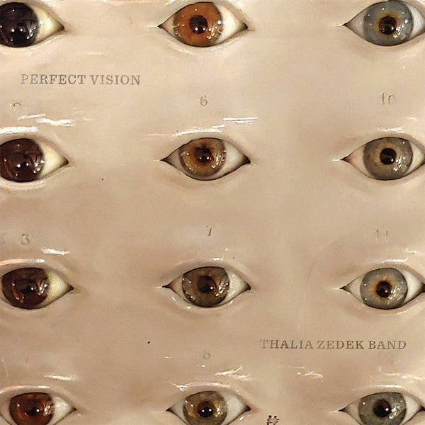Thalia Zedek Band ~ Perfect Vision (Vinyl) - Djungel & Jazz