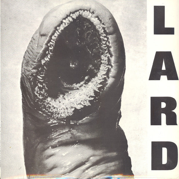 Lard ~ Power Of Lard EP (Vinyl) - Djungel & Jazz