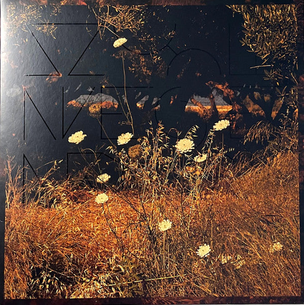 Szun Waves ~ Earth Patterns (Vinyl) - Djungel & Jazz