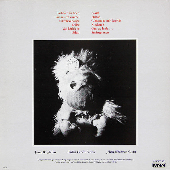 Strindbergs ~ Bibeln (Vinyl) - Djungel & Jazz