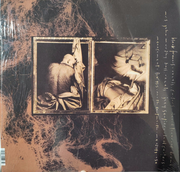 Pixies ~ Come On Pilgrim (Vinyl) - Djungel & Jazz