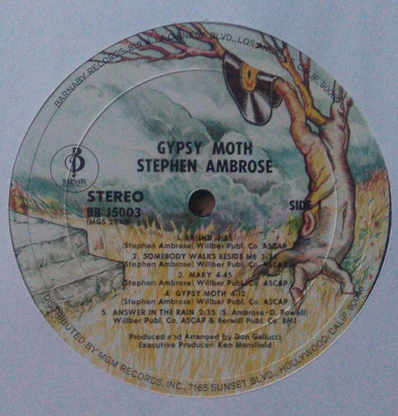 Stephen Ambrose ~ Gypsy Moth (Vinyl) - Djungel & Jazz