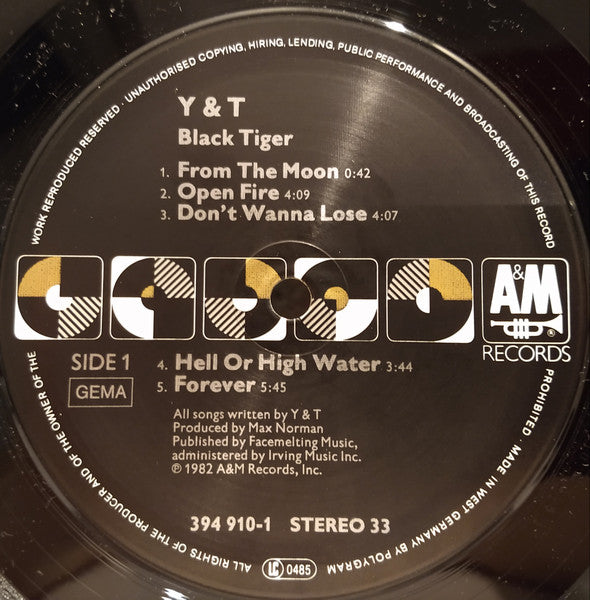 Y & T ~ Black Tiger (Vinyl) - Djungel & Jazz