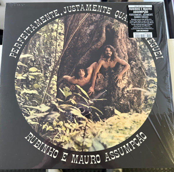 Rubinho E Mauro Assumpção ~ Perfeitamente, Justamente Quando Cheguei (Vinyl) - Djungel & Jazz