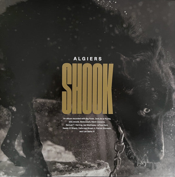 Algiers (2) : Shook (2xLP, Album)