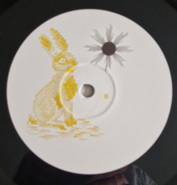 Death And Vanilla ~ Flicker (Vinyl) - Djungel & Jazz