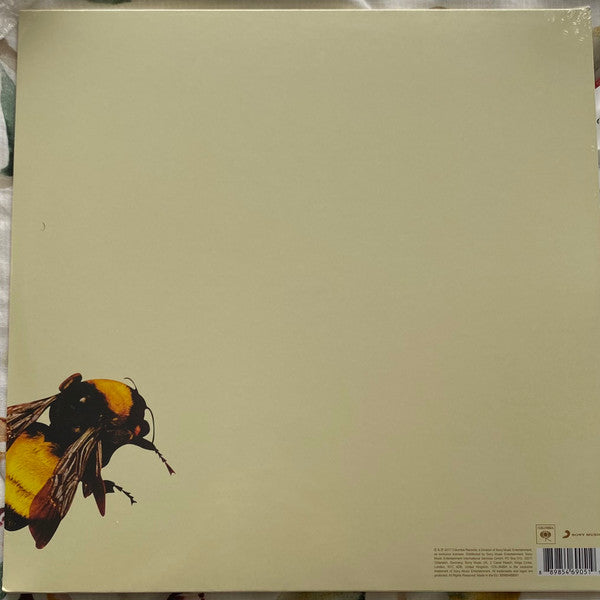 Tyler, The Creator ~ Scum Fuck Flower Boy (Vinyl) - Djungel & Jazz