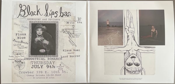 Various ~ Blacklips Bar: Androgyns And Deviants - Industrial Romance For Bruised And Battered Angels, 1992–1995 (Vinyl) - Djungel & Jazz