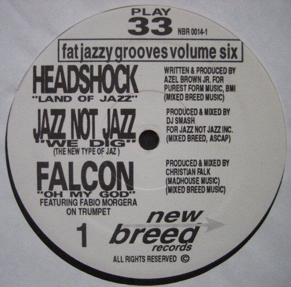 Various : Fat Jazzy Grooves Vol. 6 (LP, Comp)
