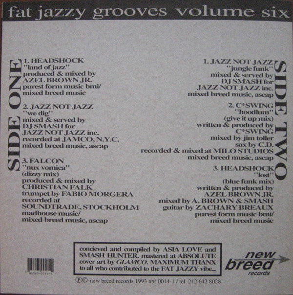 Various : Fat Jazzy Grooves Vol. 6 (LP, Comp)
