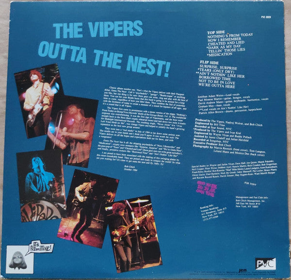 The Vipers  ~ Outta The Nest (Vinyl) - Djungel & Jazz