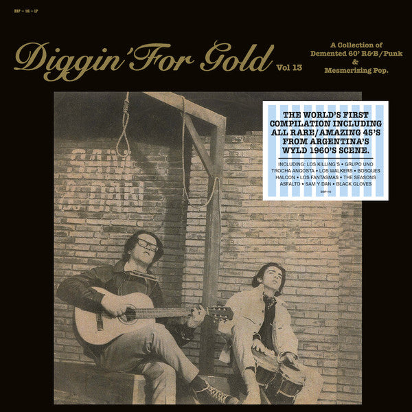 Various : Diggin' For Gold Vol 13 (A Collection Of Demented 60' R&B/Punk & Mesmerizing Pop.) (LP, Comp, Ltd)