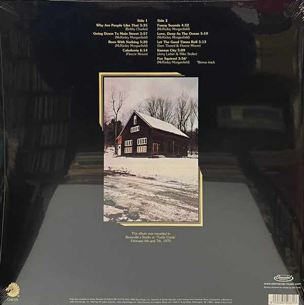 Muddy Waters ~ The Muddy Waters Woodstock Album (Vinyl) - Djungel & Jazz