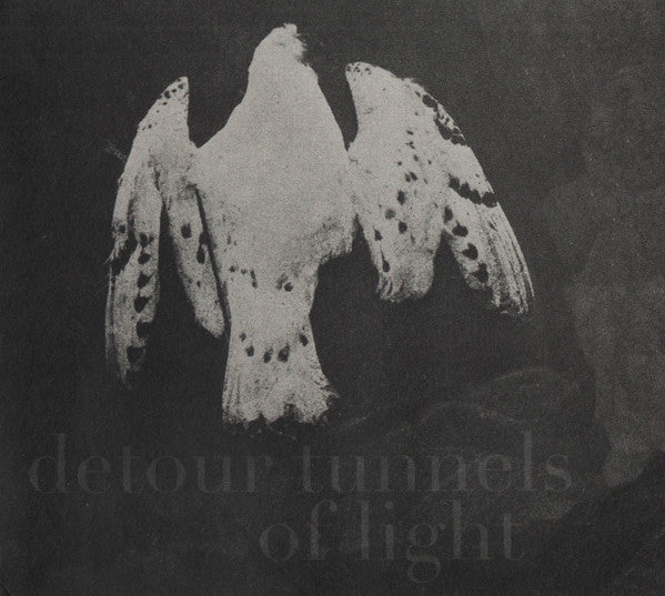 Martin Küchen & Sophie Agnel : Detour Tunnels Of Light (CD, Album)