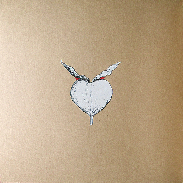 Swans ~ The Beggar (Vinyl) - Djungel & Jazz