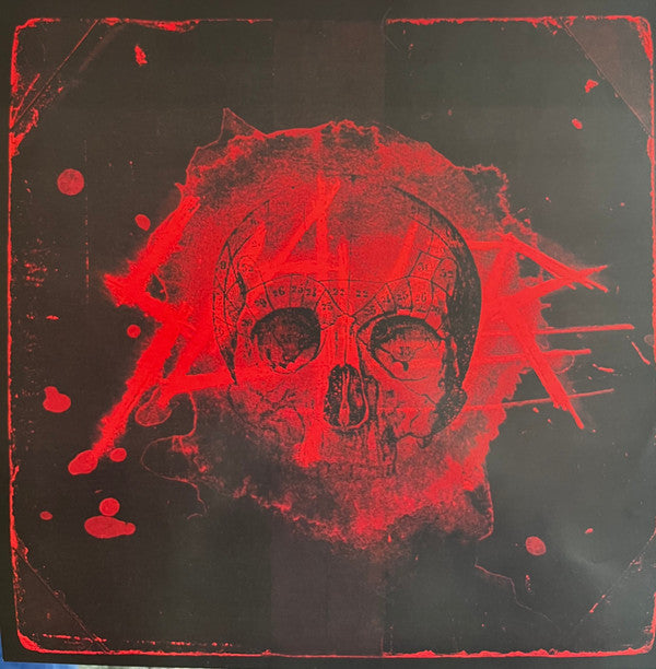 Slayer ~ World Painted Blood (Vinyl) - Djungel & Jazz