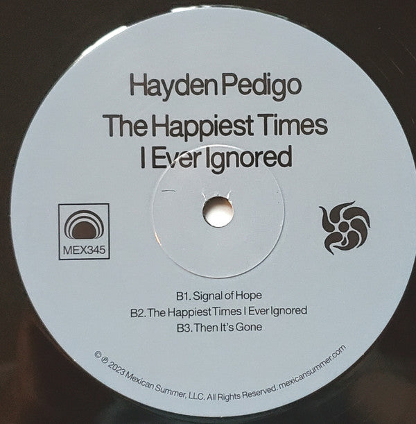 Hayden Pedigo ~ The Happiest Times I Ever Ignored (Vinyl) - Djungel & Jazz