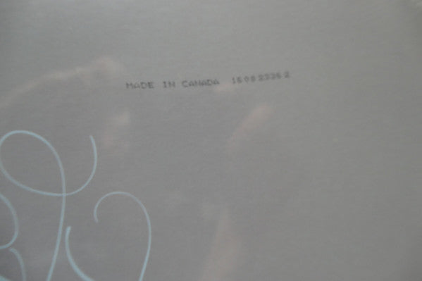 Mac Miller ~ The Divine Feminine (Vinyl) - Djungel & Jazz