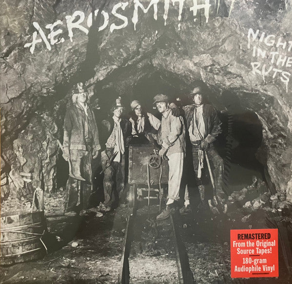 Aerosmith ~ Night In The Ruts (Vinyl) - Djungel & Jazz