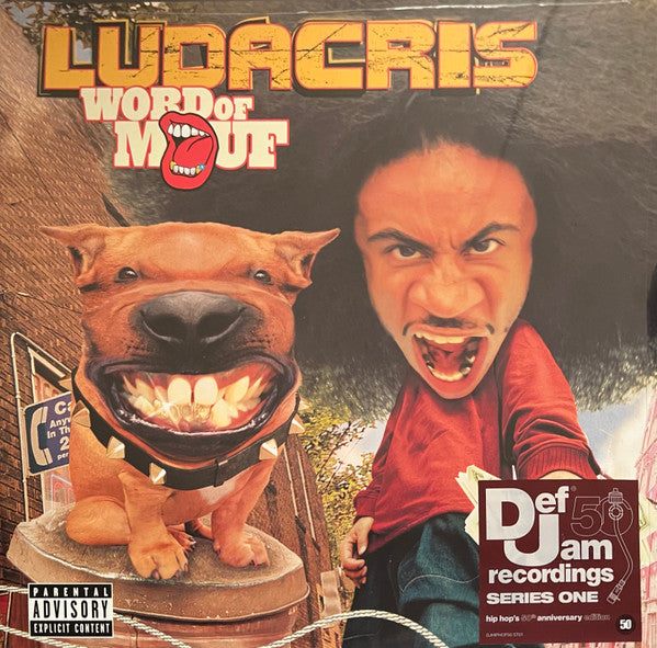 Ludacris ~ Word Of Mouf (Vinyl) - Djungel & Jazz