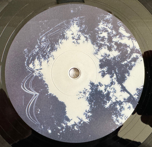 Roger Eno : The Skies, They Shift Like Chords (LP, Album)