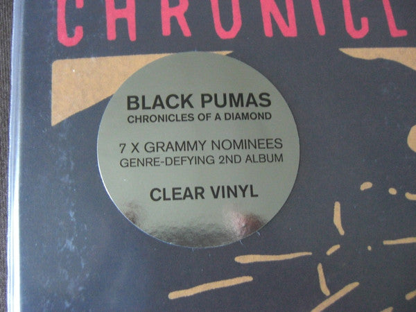 Black Pumas ~ Chronicles Of A Diamond (Vinyl) - Djungel & Jazz