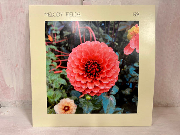 Melody Fields ~ 1991 (Vinyl) - Djungel & Jazz