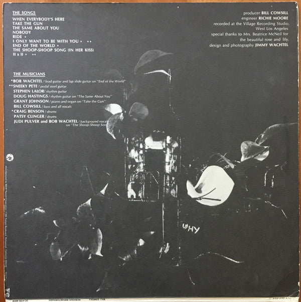 Bill Cowsill ~ Nervous Breakthrough (Vinyl) - Djungel & Jazz