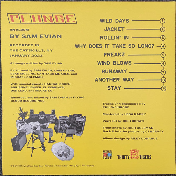 Sam Evian : Plunge (LP, Album)