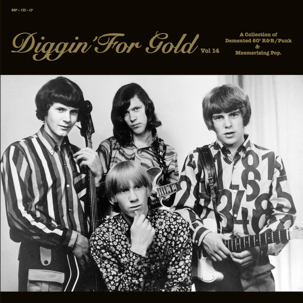 Various : Diggin' For Gold Vol 14 (A Collection Of Demented 60' R&B/Punk & Mesmerizing Pop.) (LP, Comp, Ltd)