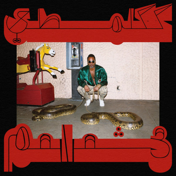Shabazz Palaces : Robed in Rareness (LP, Tra)