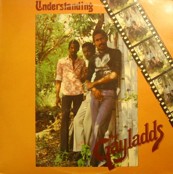 The Gaylads : Understanding (LP, Album)