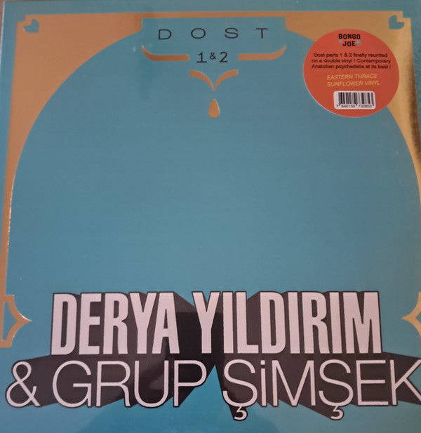 Derya Yıldırım & Grup Şimşek : Dost 1 & 2 (LP, Album, Comp, Yel)