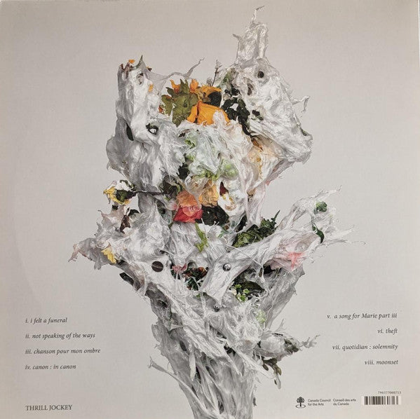 Big Brave ~ A Chaos Of Flowers (Vinyl) - Djungel & Jazz